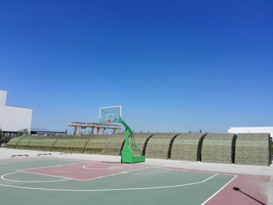 移动折叠车库